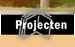 Projecten